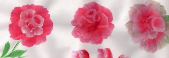 rosas-rojas dibujo-y-pintura-rosas